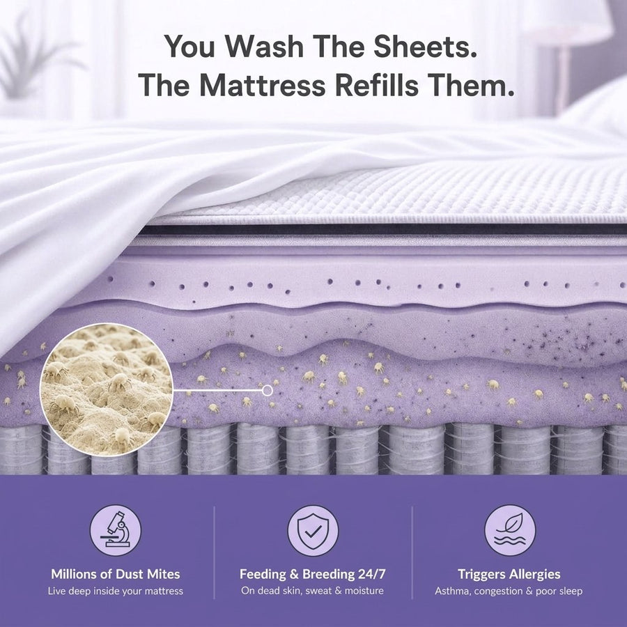 Dust mites living inside a mattress under a clean sheet